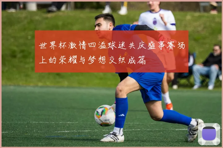 世界杯激情四溢球迷共庆盛事赛场上的荣耀与梦想交织成篇