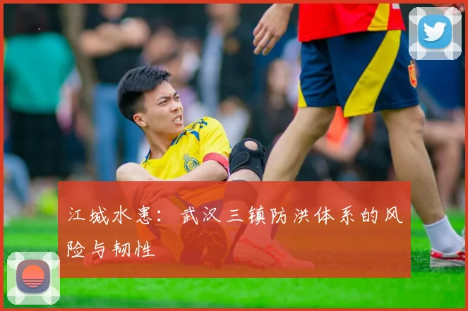 江城水患：武汉三镇防洪体系的风险与韧性