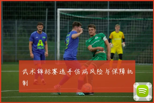 武术锦标赛选手伤病风险与保障机制